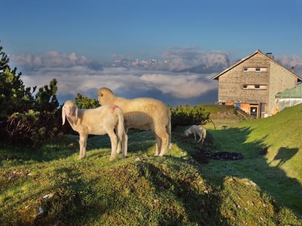 Morgenstimmung am Solsteinhaus