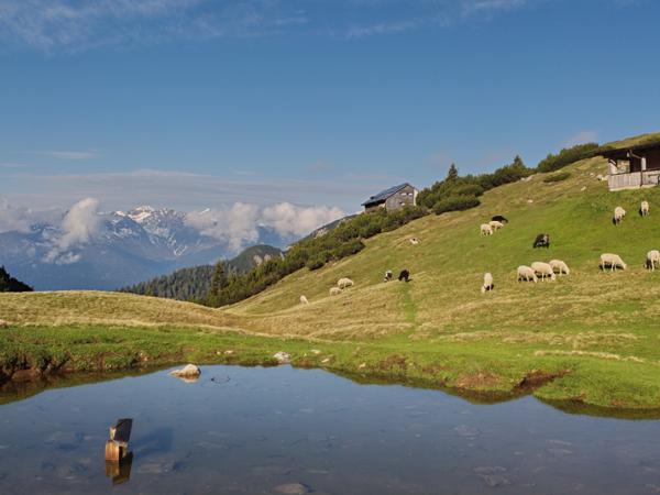 Im Hintergrund die nordlichen Stubaier Alpen