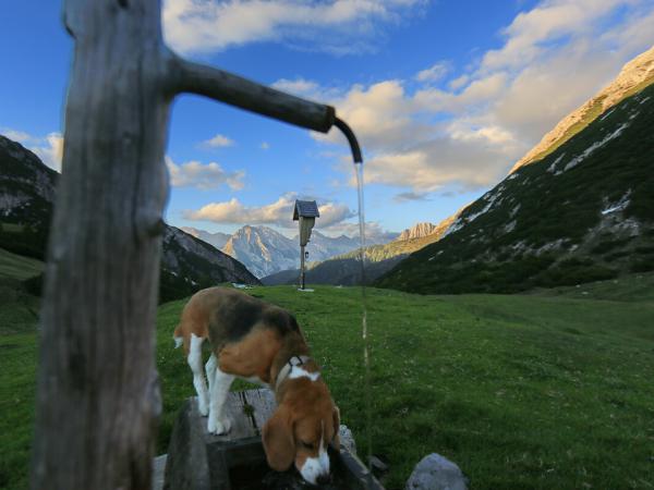 Bewegung macht durstig