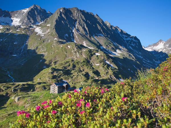 Die Hütte liegt im Bereich der vergletscherten Berge des Alpein