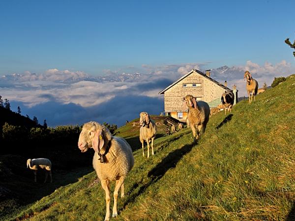 Alles hat seine Zeit, auch Wetterphasen-es wird besser!