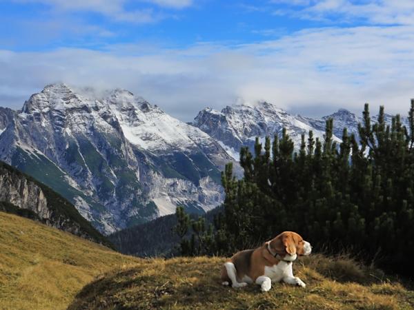 Der erste Schnee