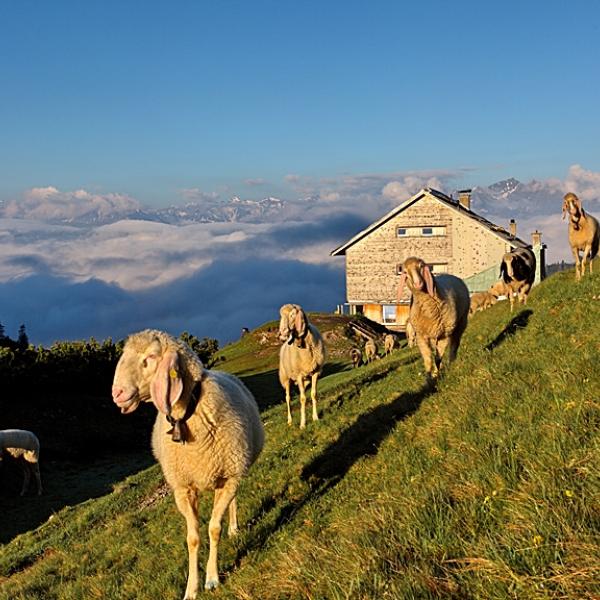 Alles hat seine Zeit, auch Wetterphasen-es wird besser!